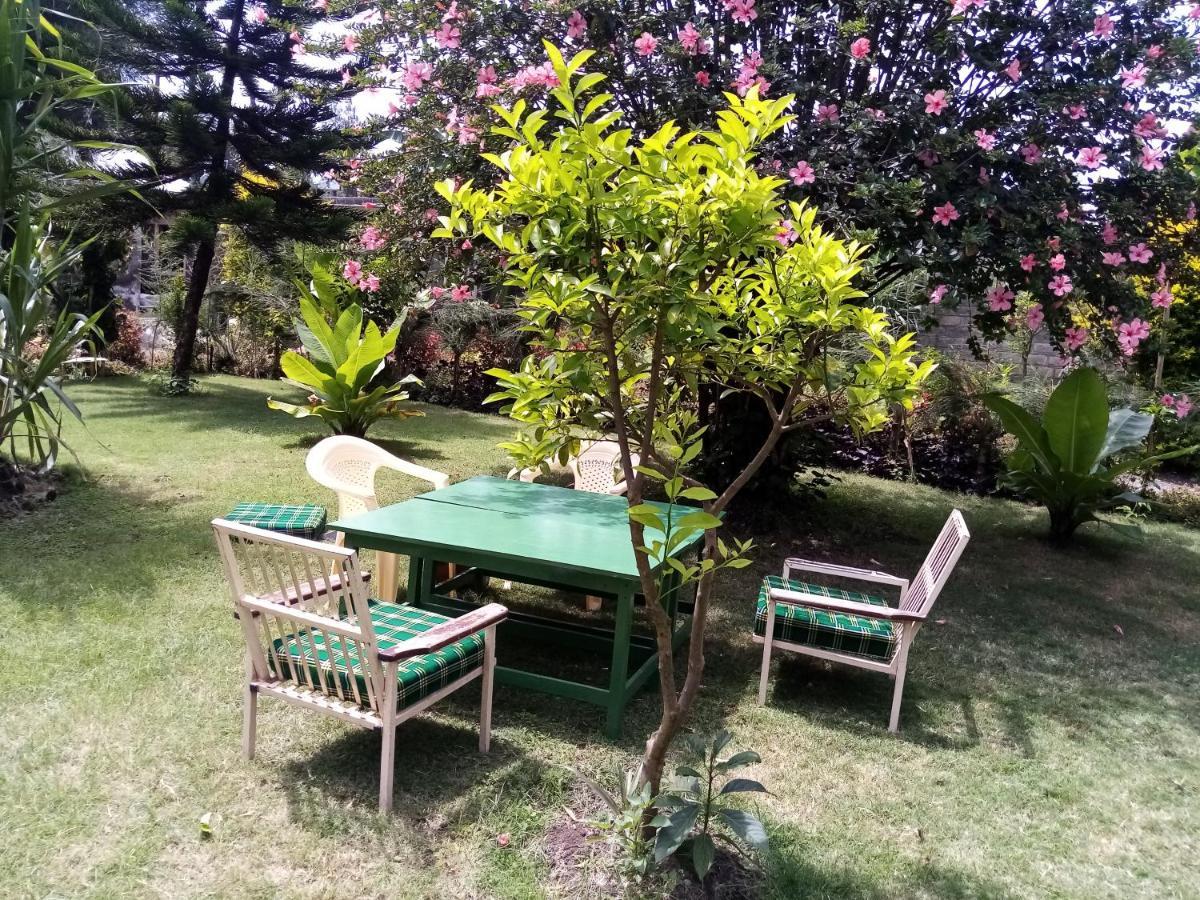 Homebase Gardens 2*