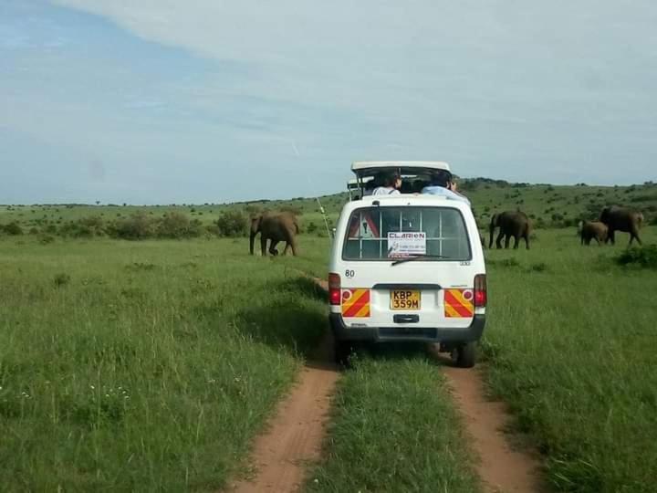Bed & Breakfast Homebase Gardens Nakuru