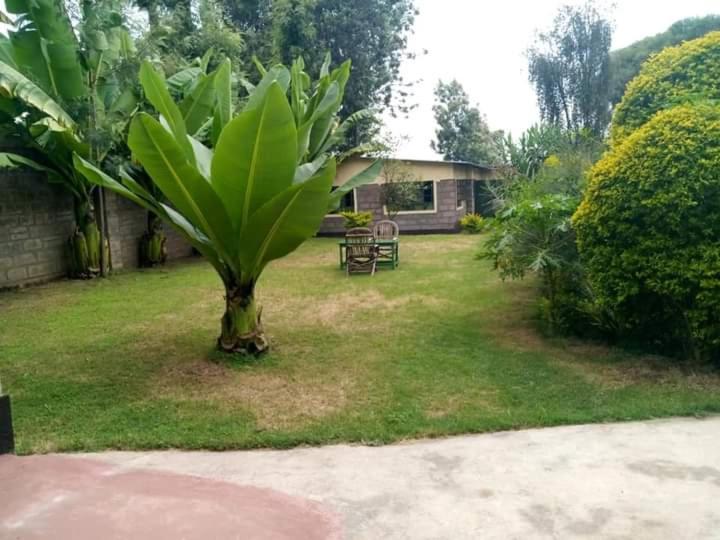 Homebase Gardens Bed & Breakfast Nakuru