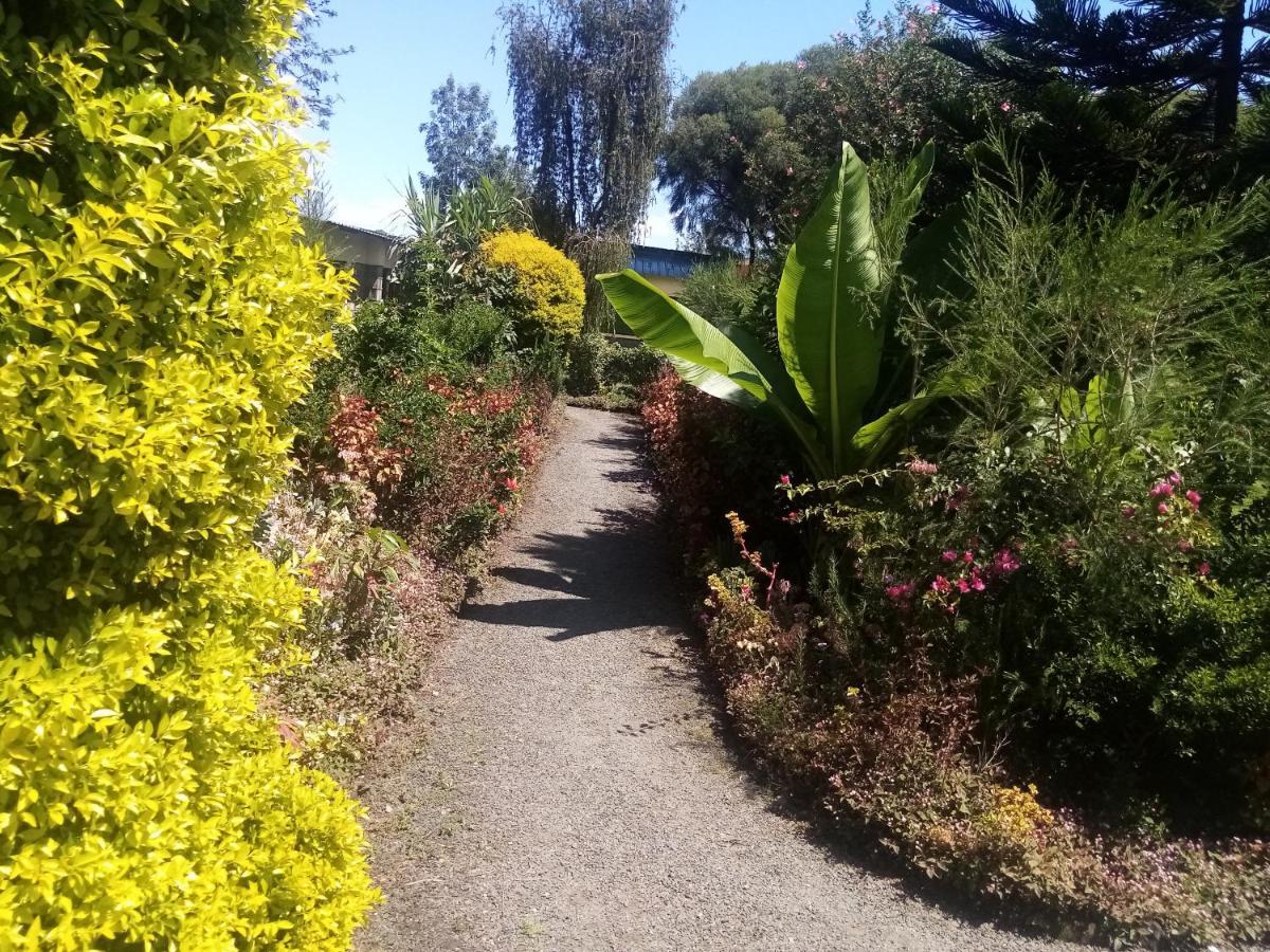 Bed & Breakfast Homebase Gardens Nakuru
