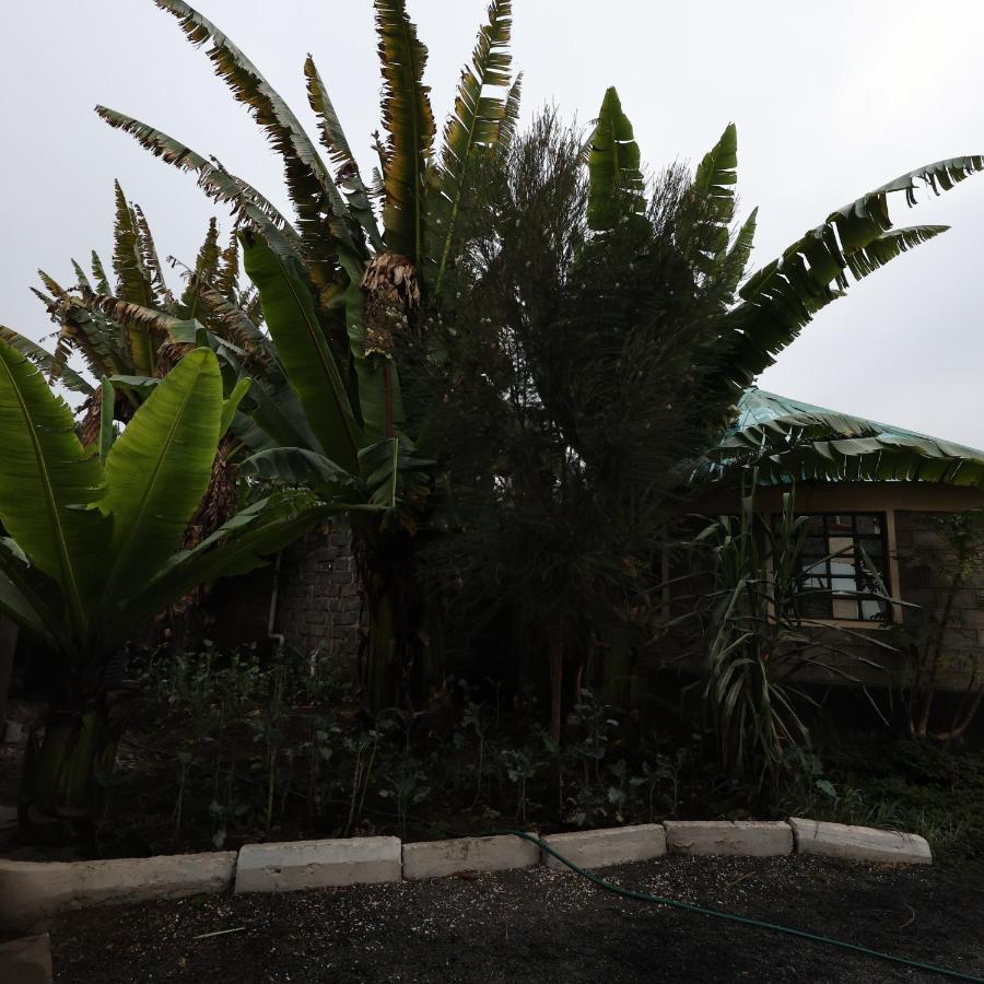 Homebase Gardens Bed & Breakfast
