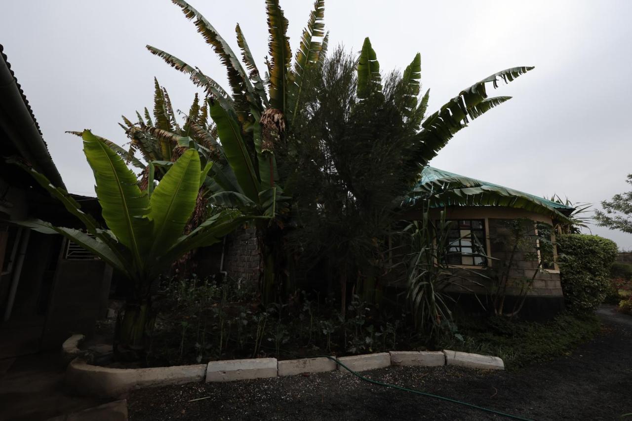 Bed & Breakfast Homebase Gardens Nakuru