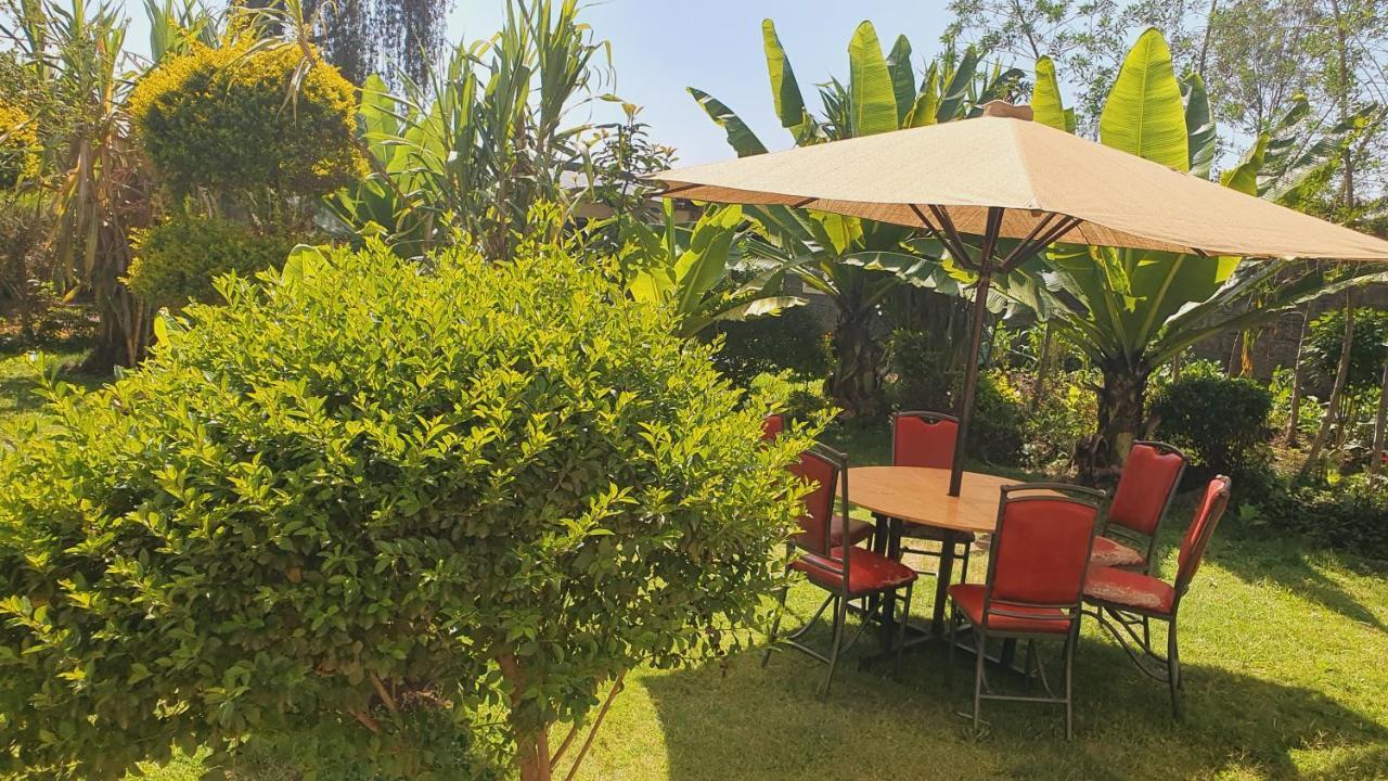 Bed & Breakfast Homebase Gardens 2*