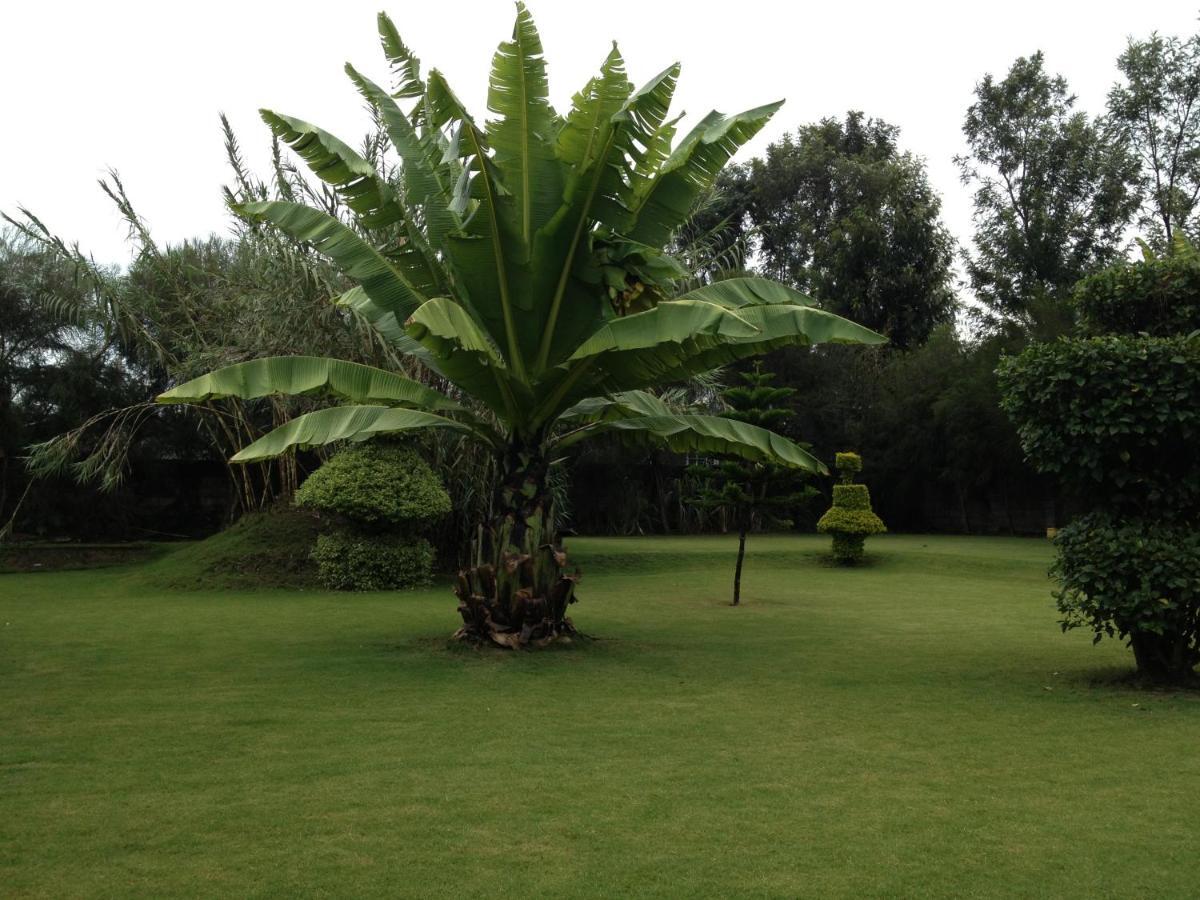 Bed & Breakfast Homebase Gardens 2*