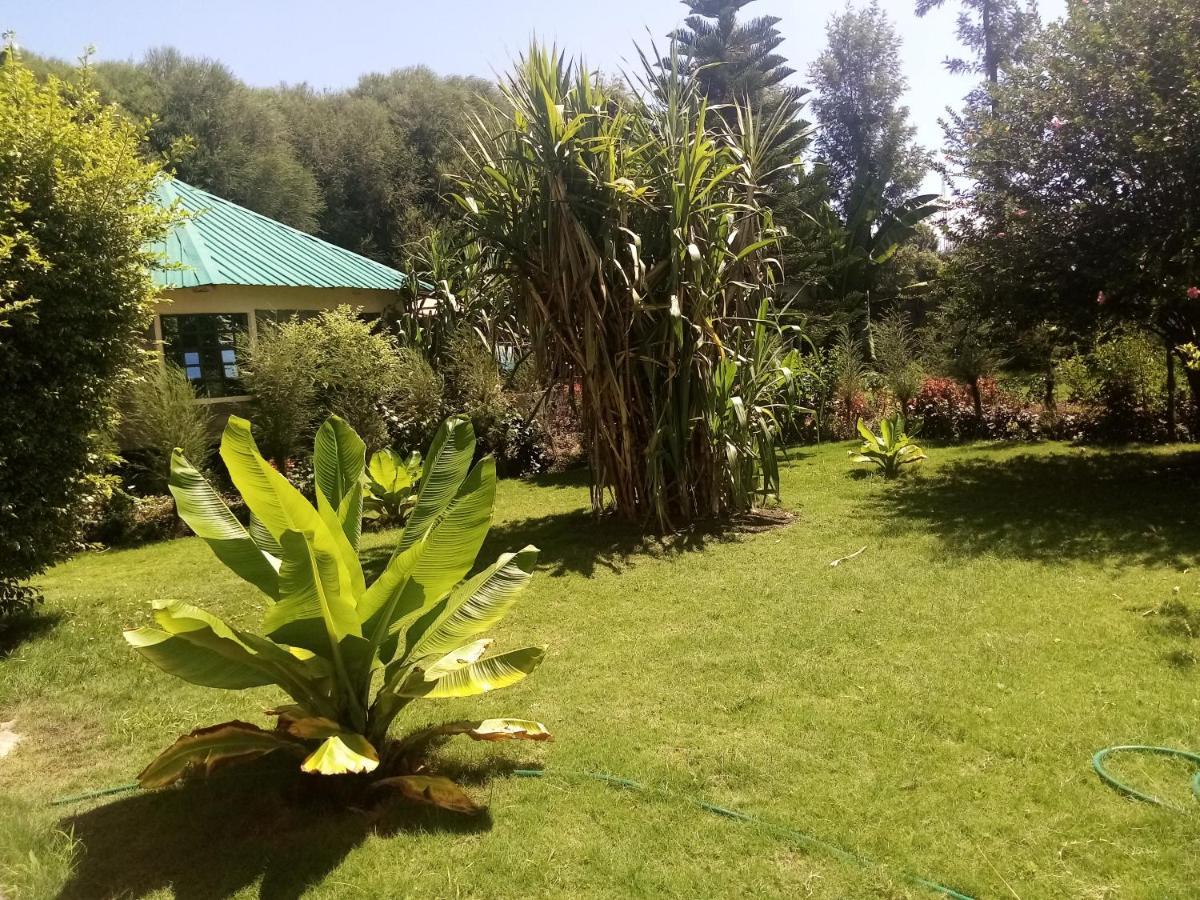 Homebase Gardens Bed & Breakfast