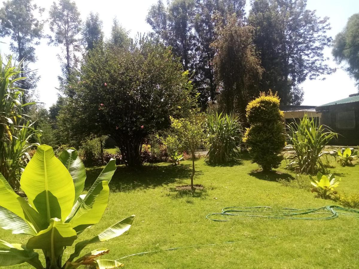 Homebase Gardens 2* Nakuru