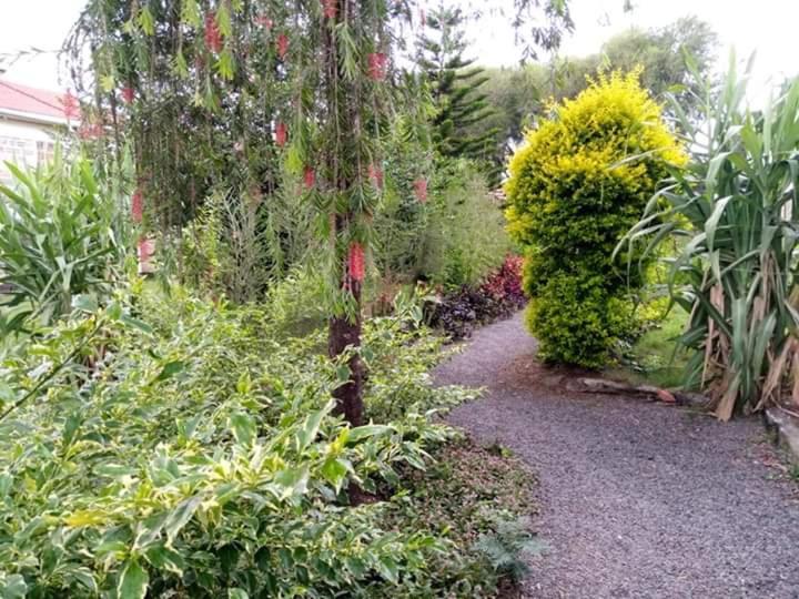 Homebase Gardens Bed & Breakfast