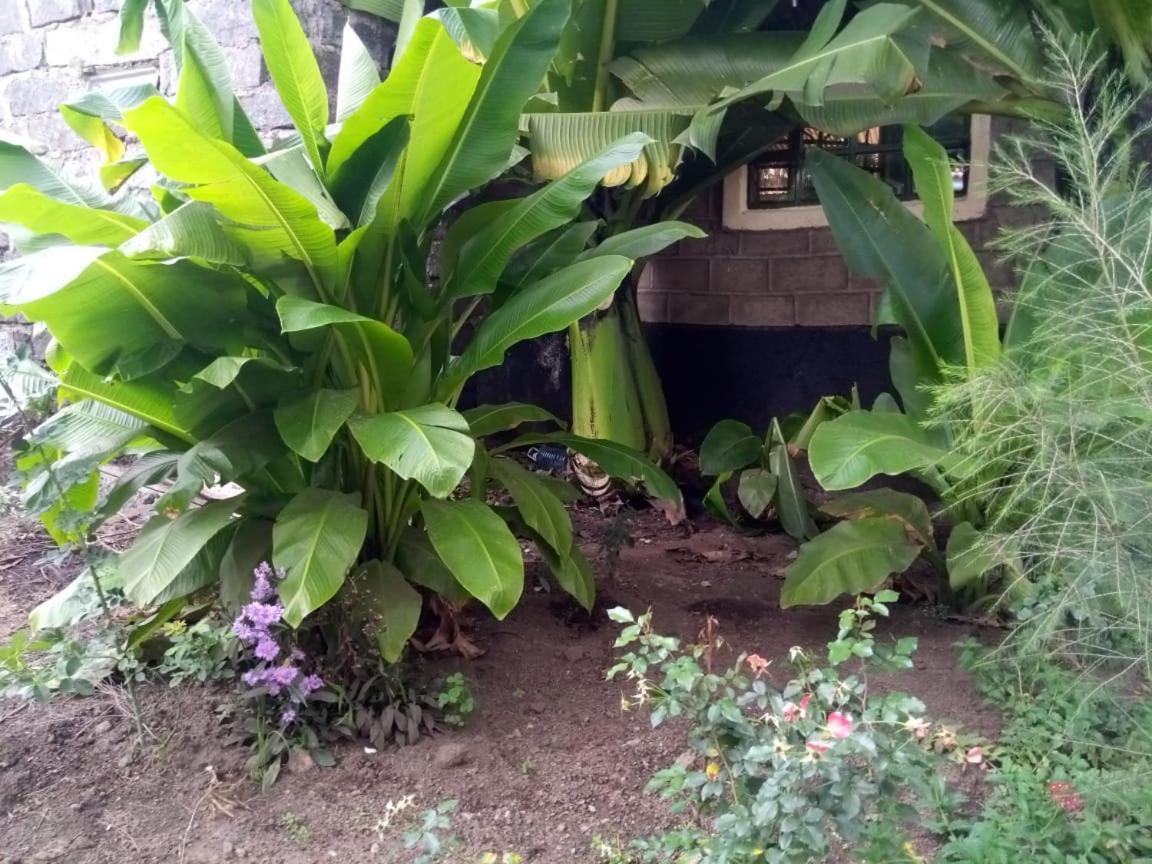 Homebase Gardens Bed & Breakfast 2*
