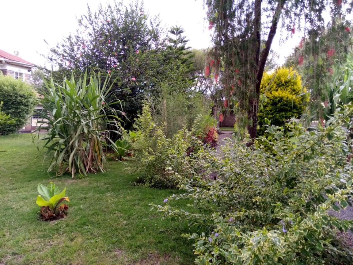 Homebase Gardens