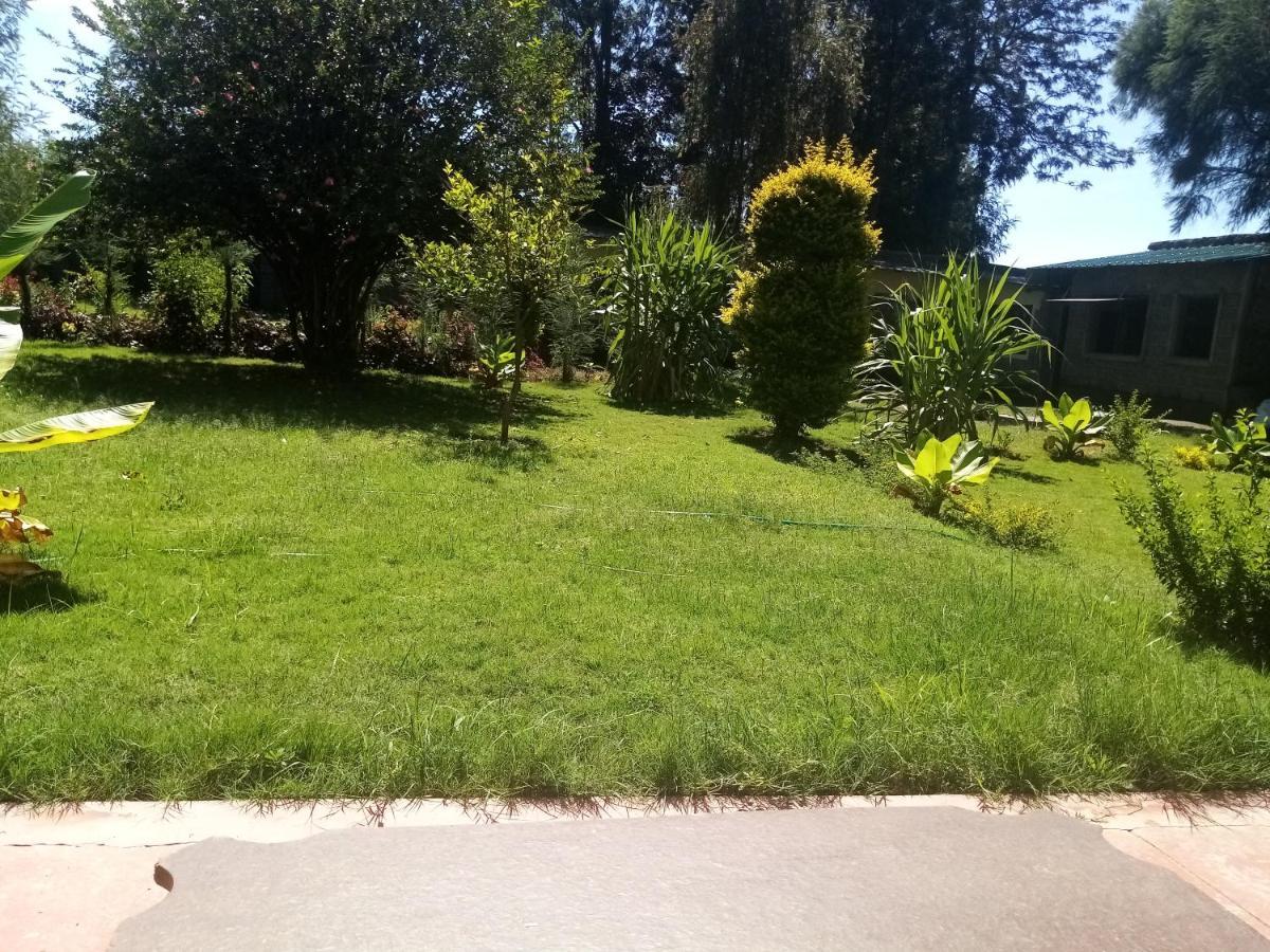 Bed & Breakfast Homebase Gardens 2*